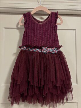 Maroon Dress with Tulle Skirt